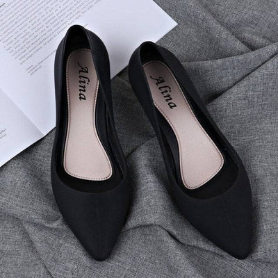 Pointed Wedges  women shoes  spring autumn shoes women Elegant Shallow Work Low heel Slip-On