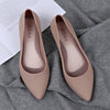 Pointed Wedges  women shoes  spring autumn shoes women Elegant Shallow Work Low heel Slip-On